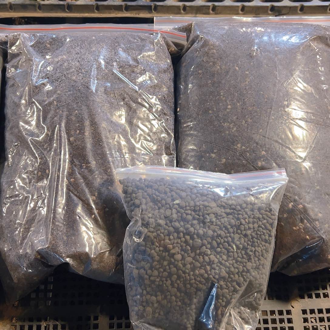 两代营养土➕有机肥