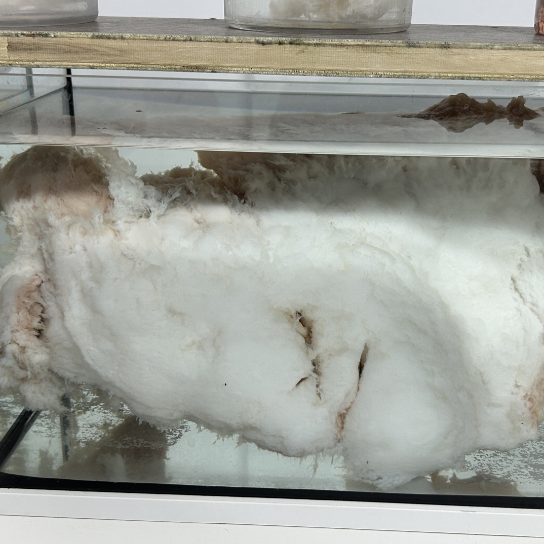 长白山纯天然石太岁极品白面油票4斤摆件