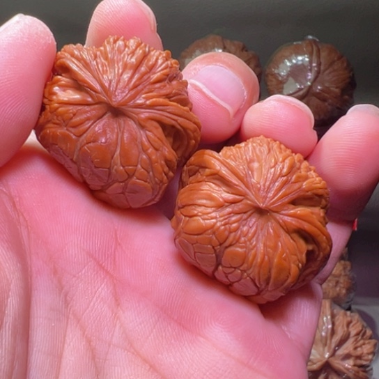 把件文玩核桃极品正磨盘蟒蛇32+边罕见