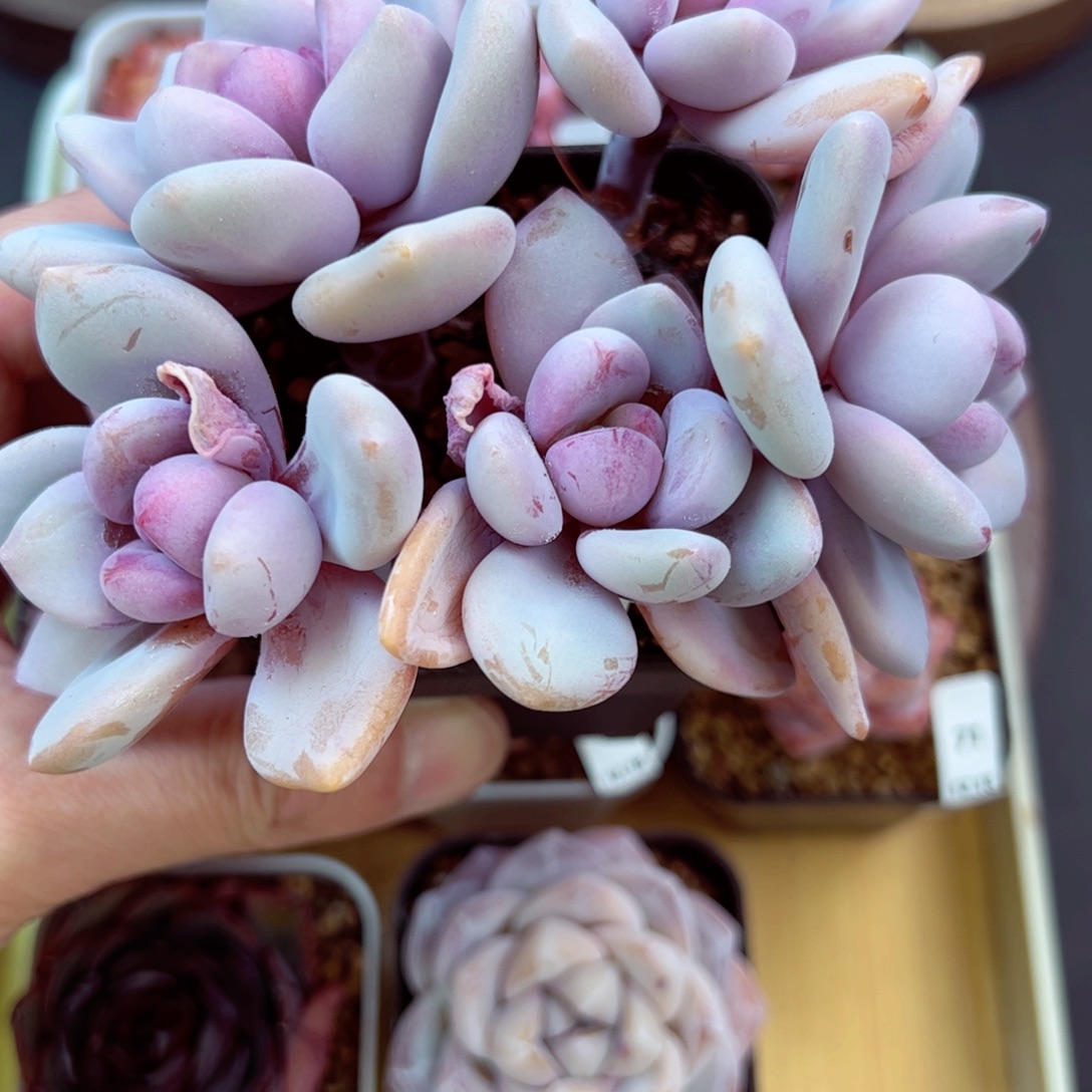 好好看74、哈哈哈哈哈