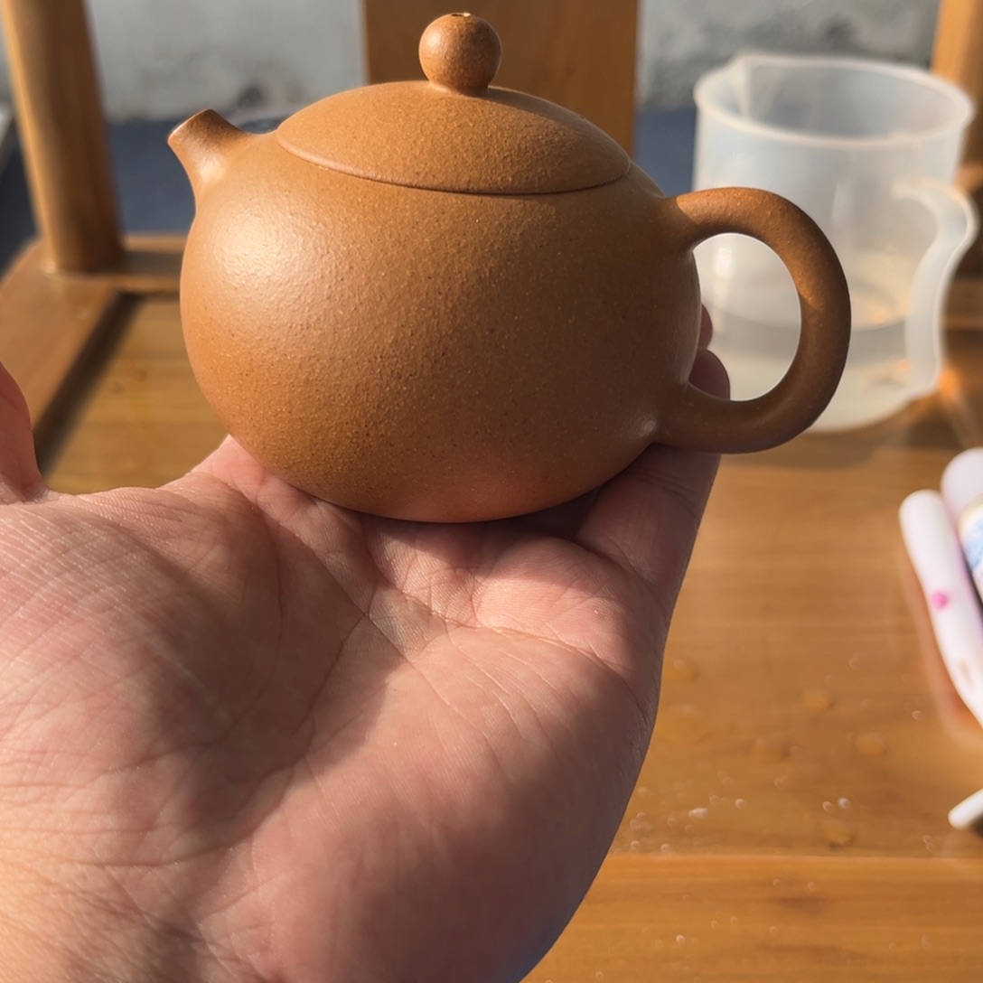 去***病茶壶紫砂紫砂………………………………………………