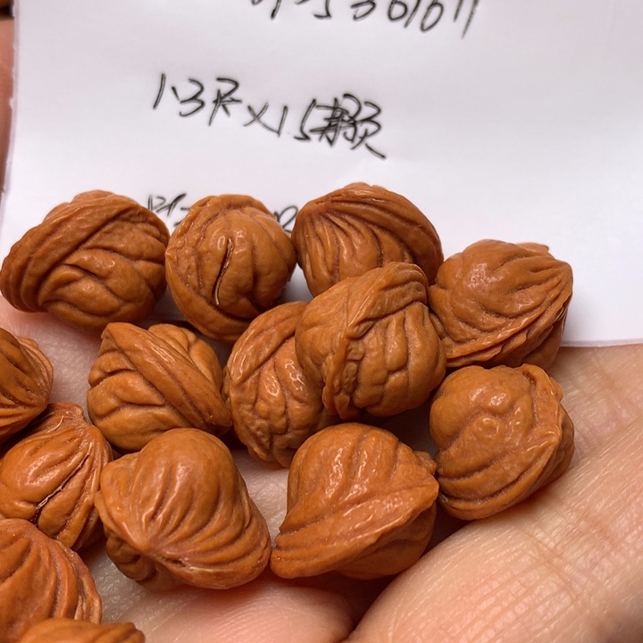 野生龙纹桃核小龙纹1.3