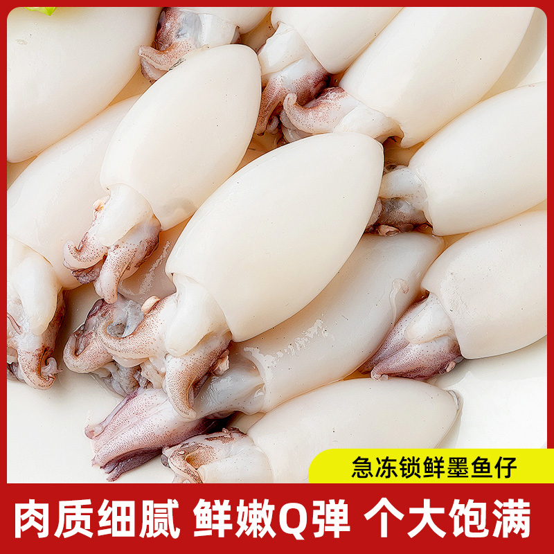 墨鱼仔新鲜冷冻火锅食材海鲜批发小鱿鱼仔生鲜商用墨斗鱼目鱼仔