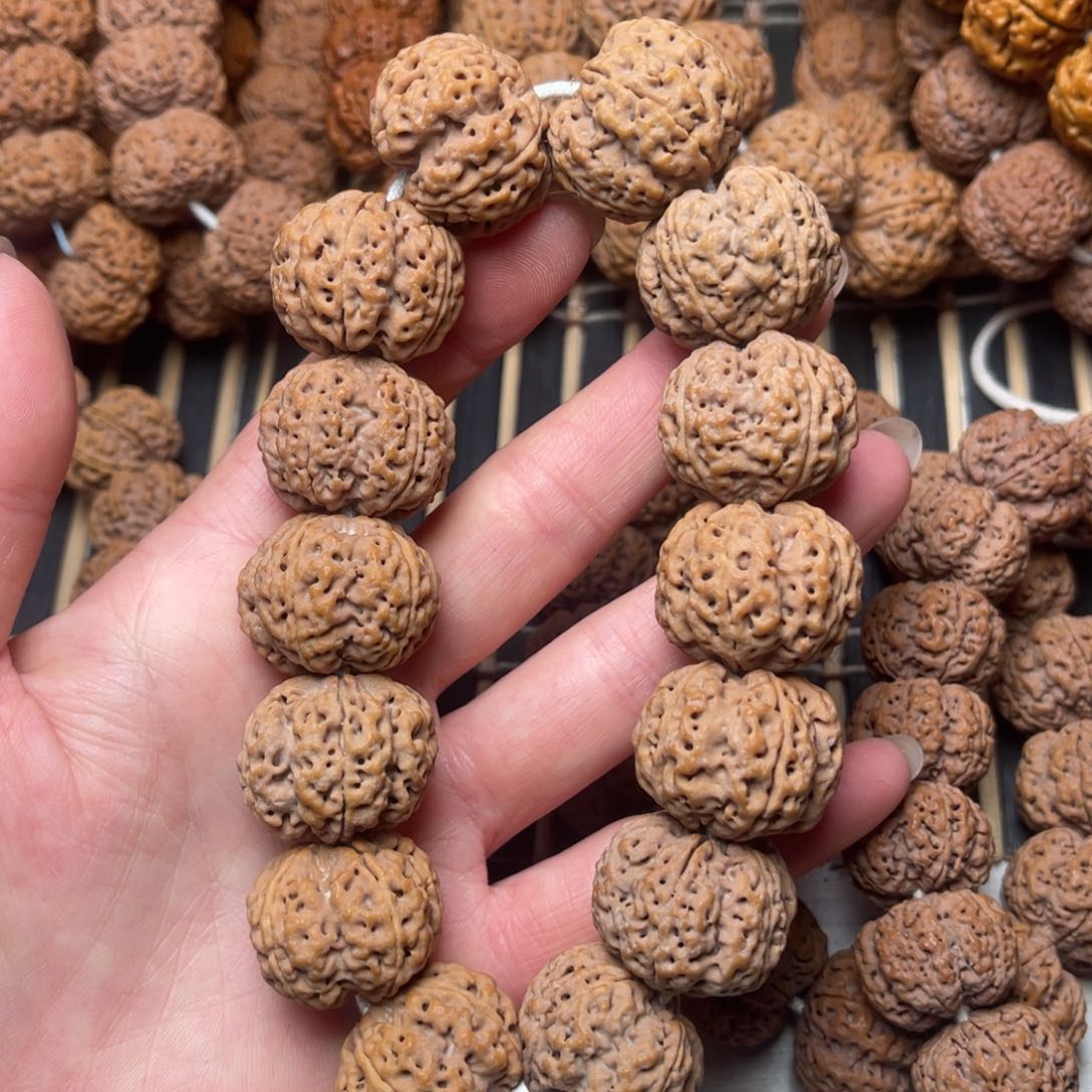 菩提尼泊尔大金刚梁梅花24