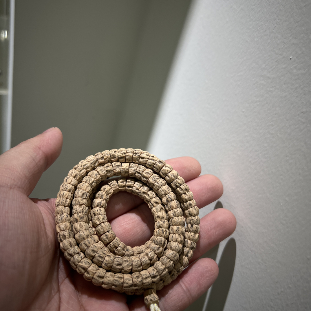 热振柏香籽 脏鬼大肠 J29