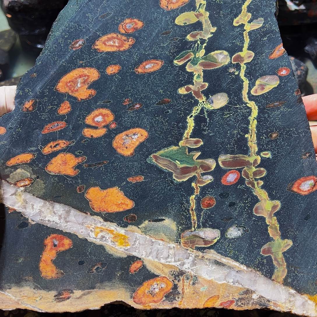 梅花玉鱼缸石茶周边微瑕不退不换