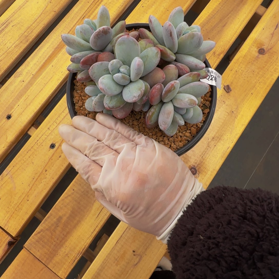 q q q q q q q q q 28