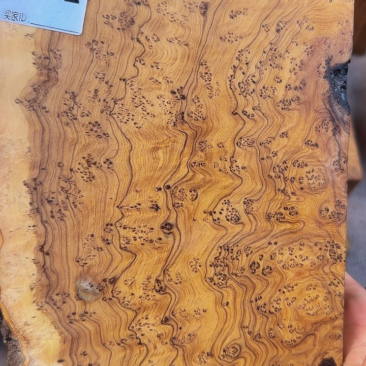 木李**下鬼柳尖叶木栖榄瘤疤
