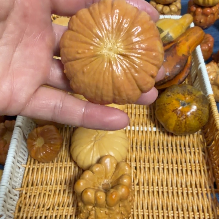 精****墨西哥七彩疙瘩葫芦