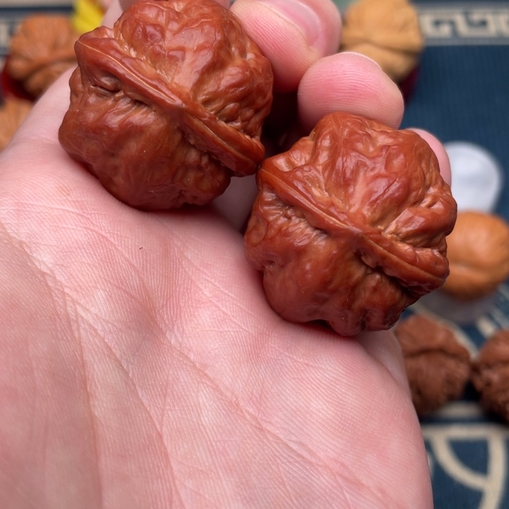 文玩核桃把件霸王龙