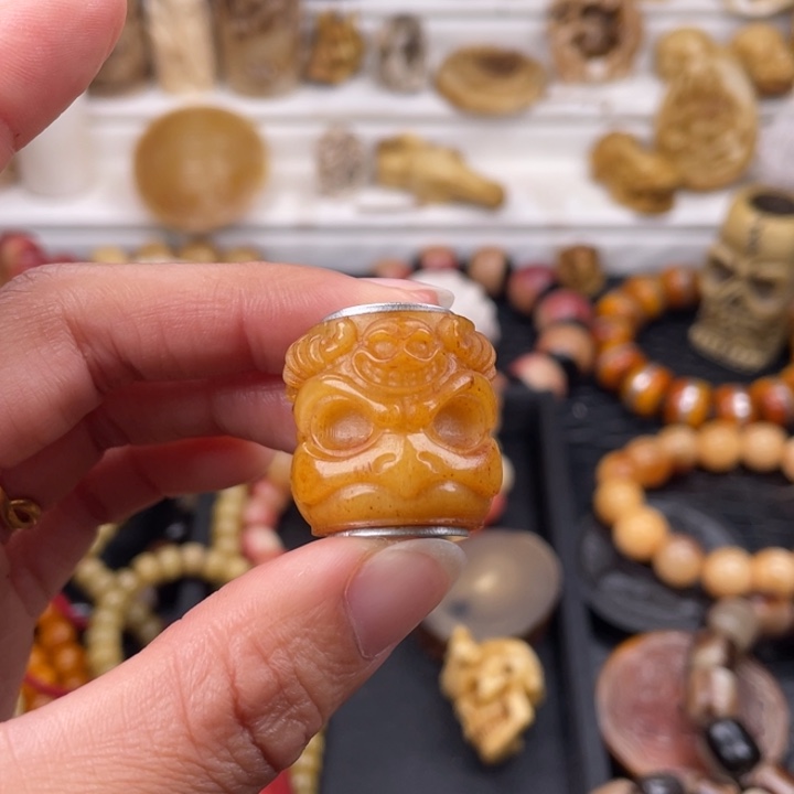 驼骨其他骆驼骨的大鹏鸟23