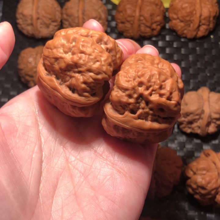 S***Y把件文玩核桃蛤蟆