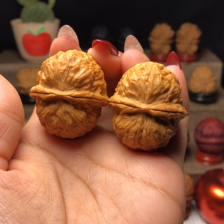 文玩核桃把件40金龟子