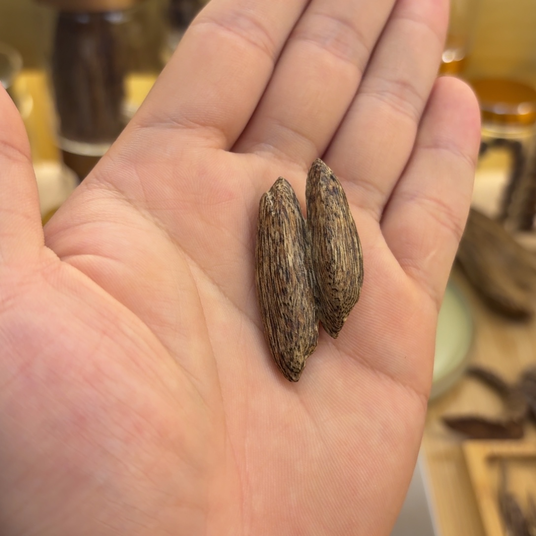 香港树心虫眼1.3克