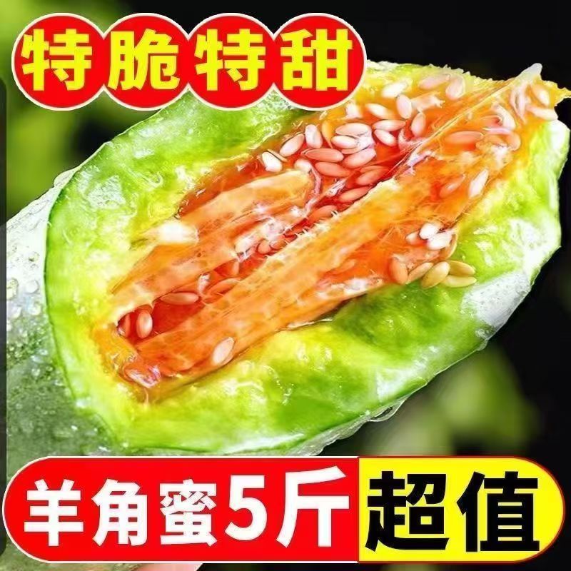 【羊角蜜】现摘现发脆甜爽口正宗山东潍坊羊角蜜源头直发