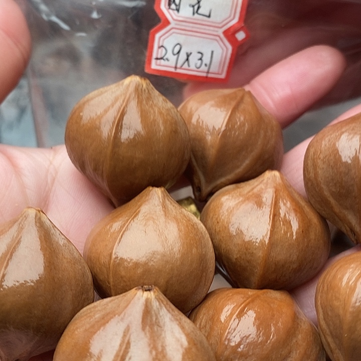 手串/手链橄榄核小*