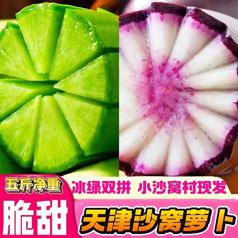 顺丰包邮天津沙窝水果萝卜新鲜现挖脆甜多汁生吃爽口混合装
