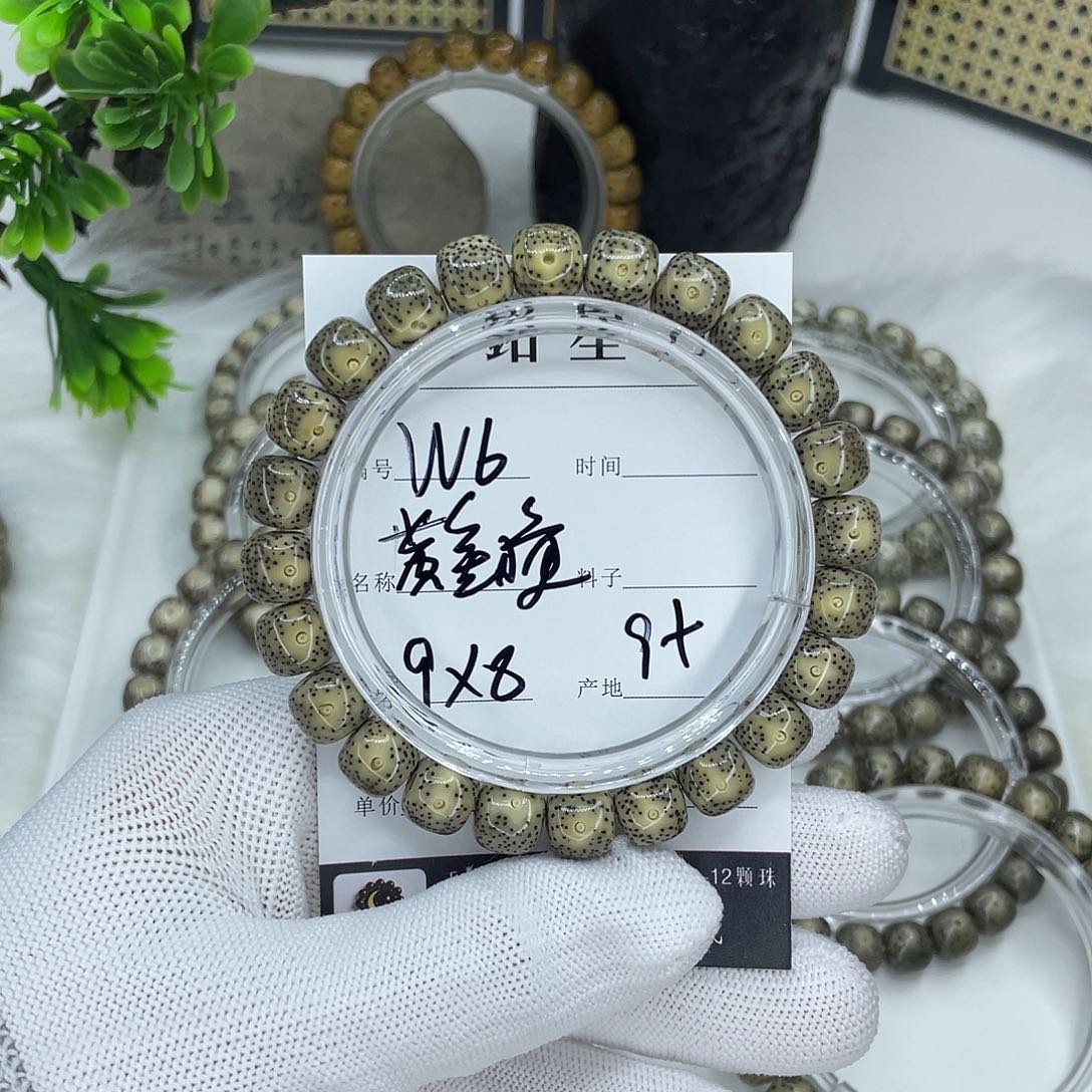 菩提籽类W6 黄金瞳 9
