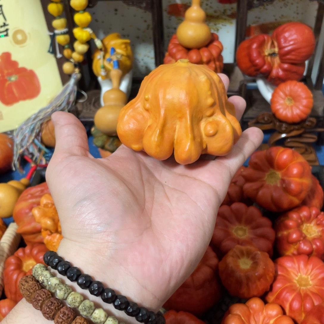 章鱼111111111111111111111