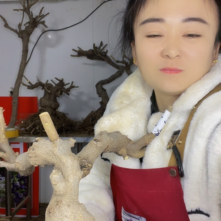 水牛皮（革）湘**去物