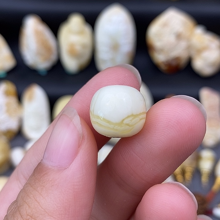 裸石琥珀未镶嵌13老邢b453