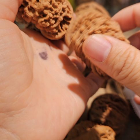 文玩核桃吊坠53龙鼎管帽