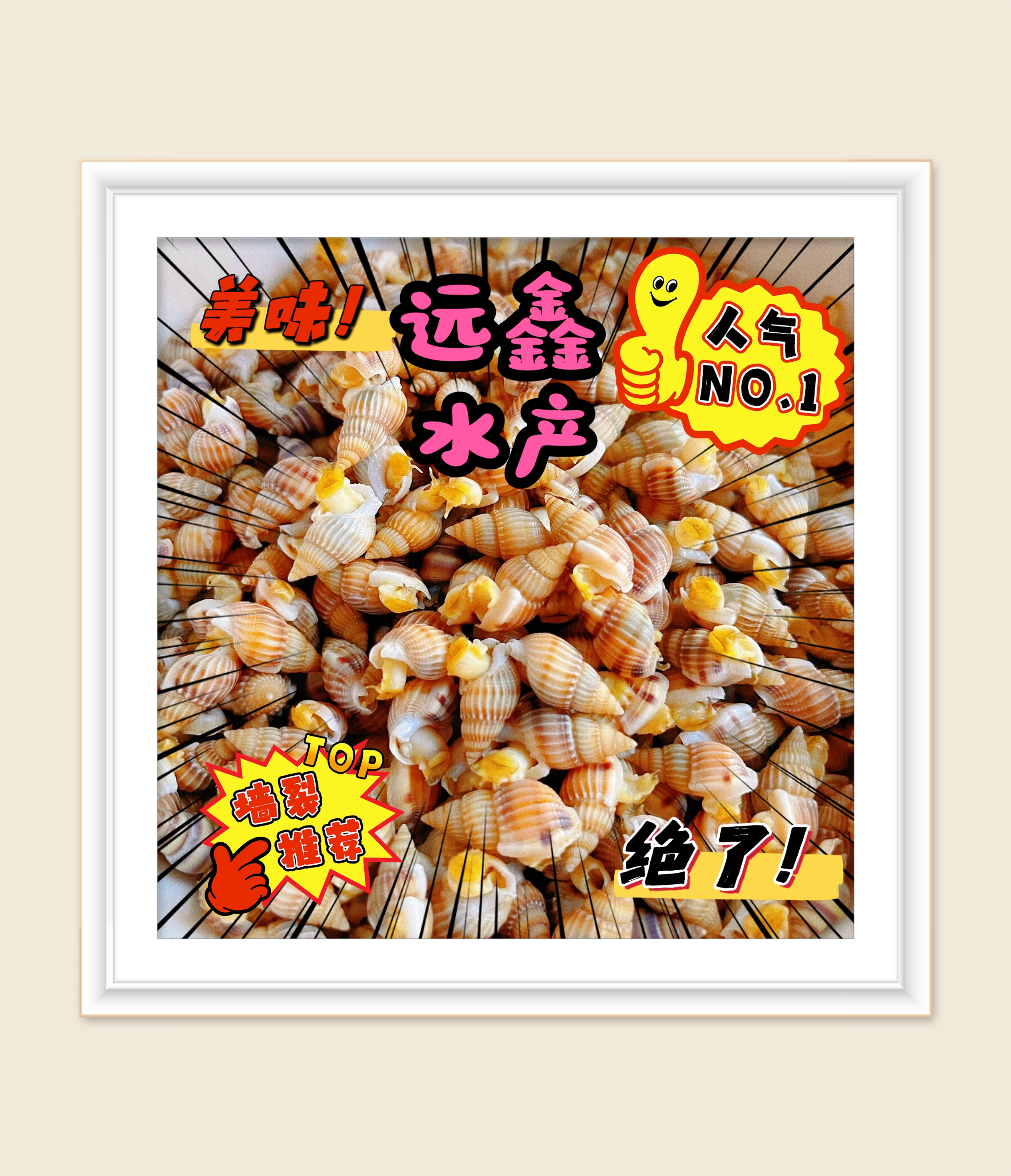 X辽宁丹东东港中大号海螺丝保鲜保肥保活无泥无沙顺丰包邮