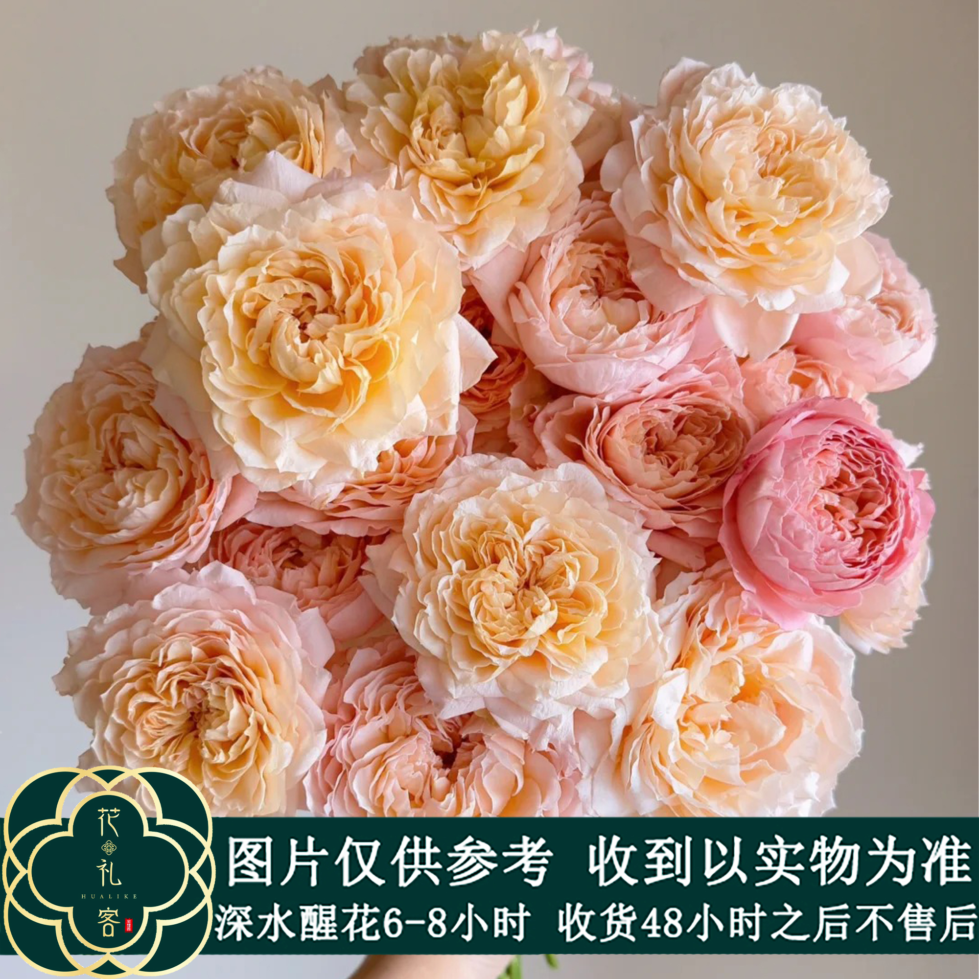 云花巷# 【蜂蜜朱丽叶塔】-多头玫瑰