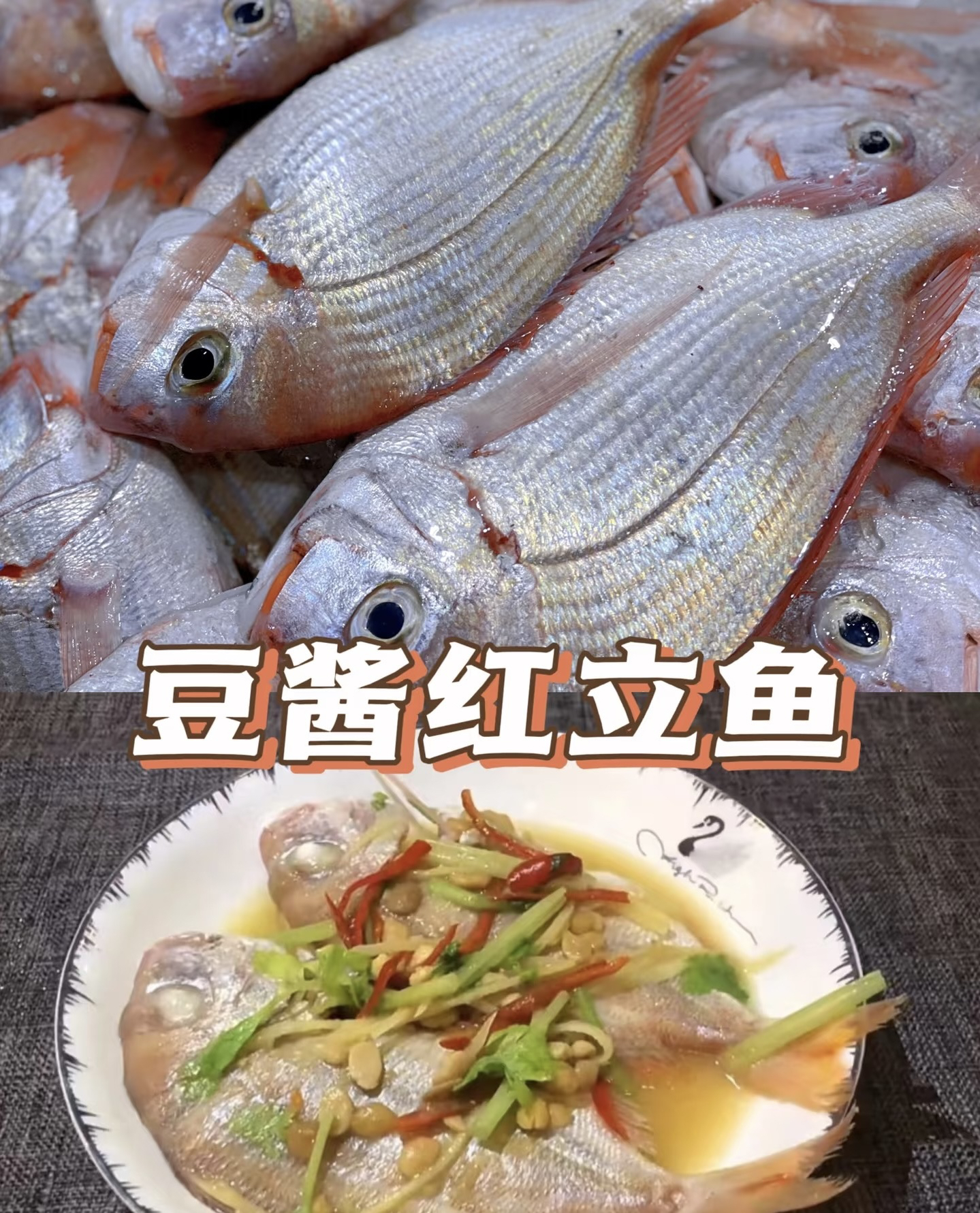 新鲜野生红立鱼 汕尾本港原产地顺丰冷链直发