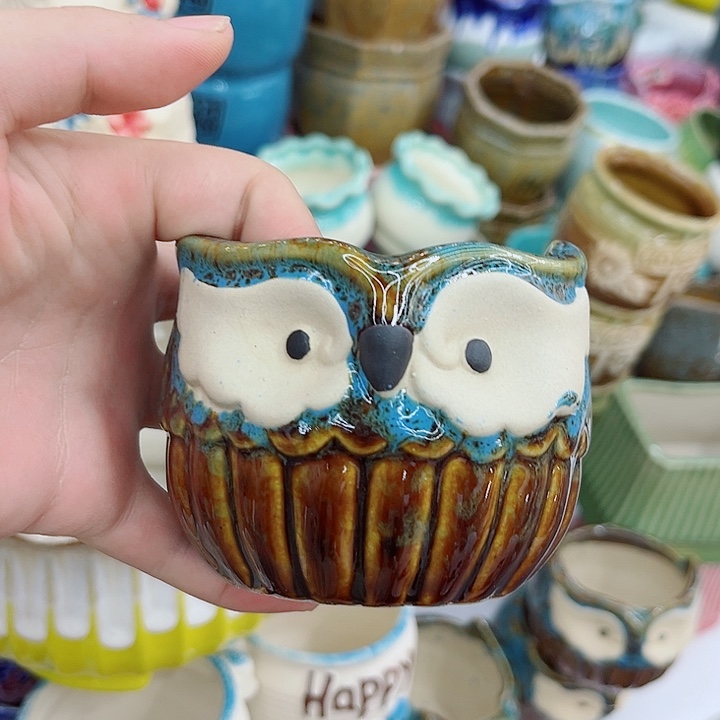 多肉植物陶瓷花盆9.99包邮