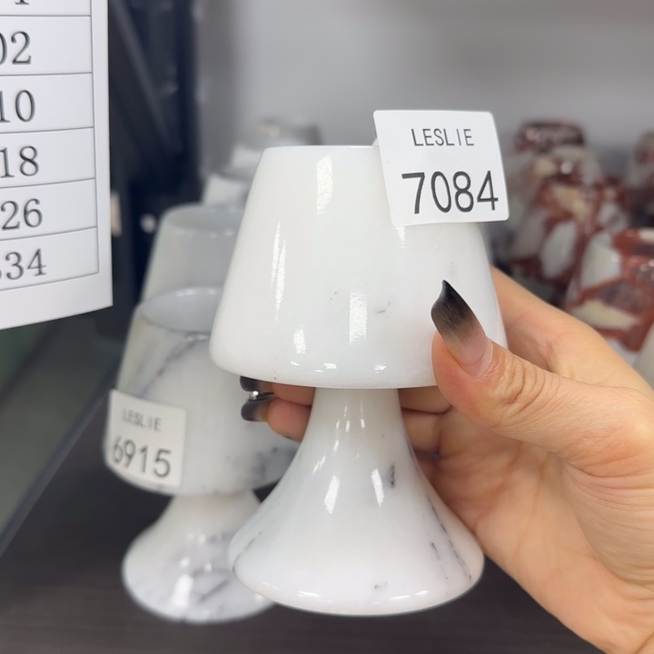 Yy7084。。。。。。洋甘菊