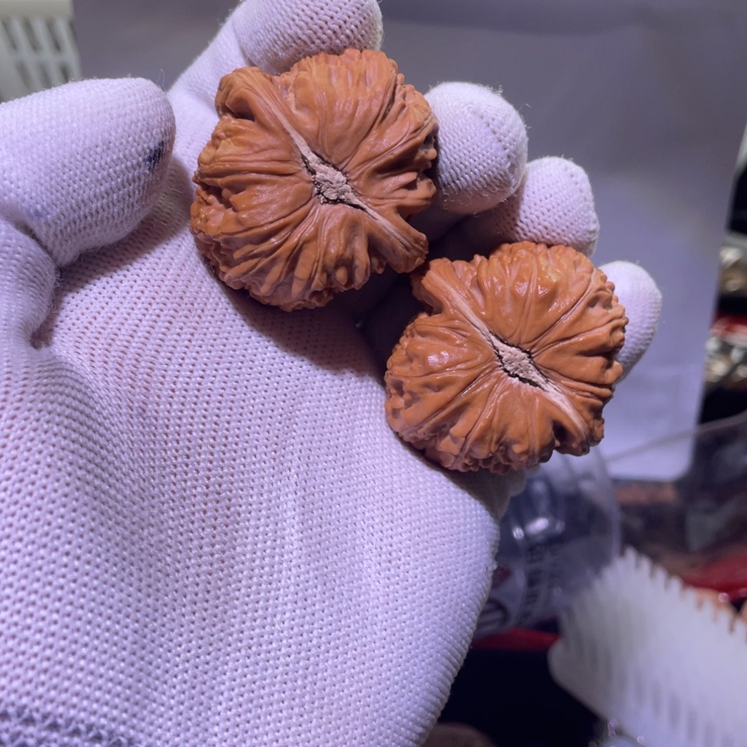 文玩核桃把件三角白 879