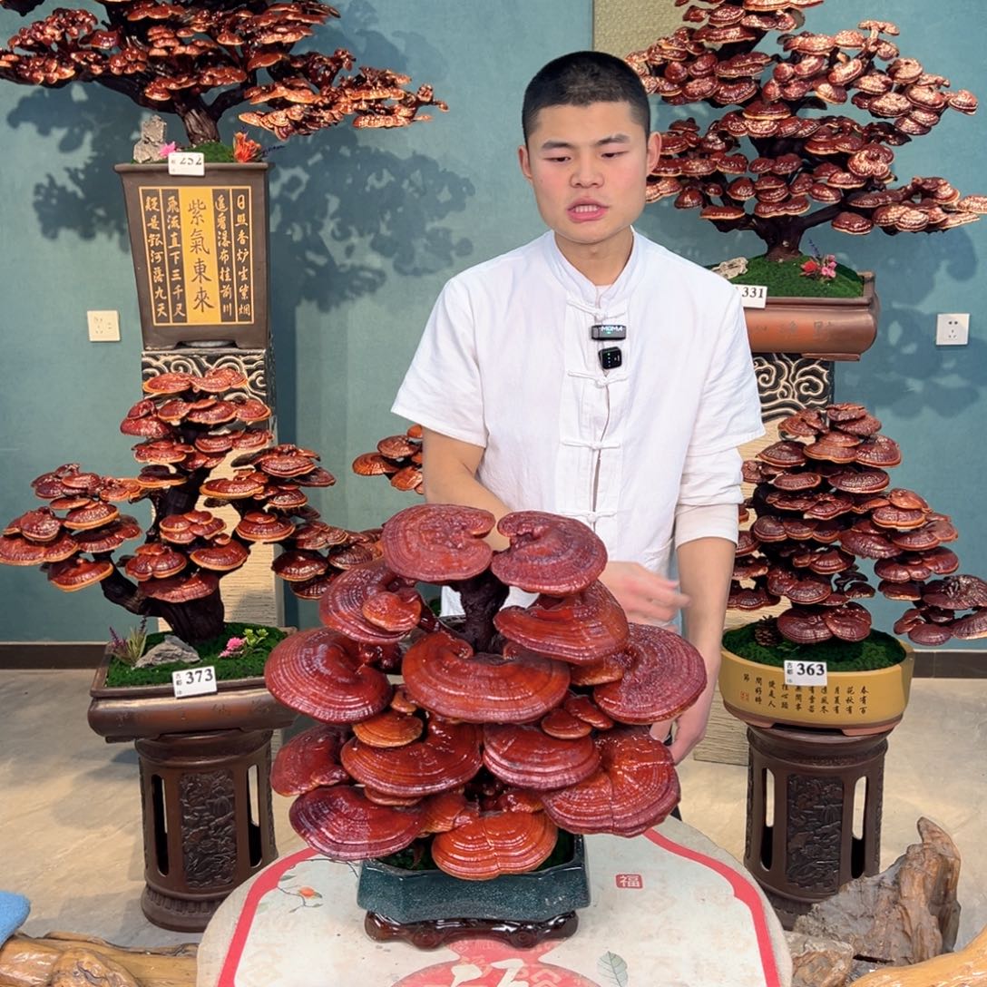 无花朵888888888888