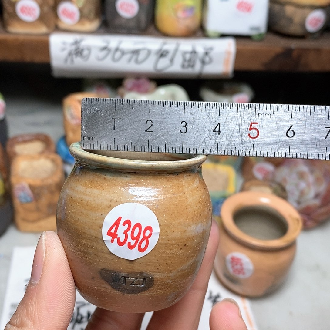 红陶拍5送一个小