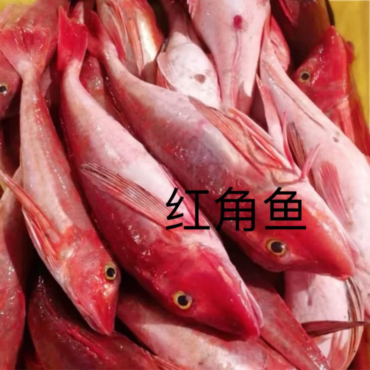 神泉红角鱼2-3条装杀好400克／5包