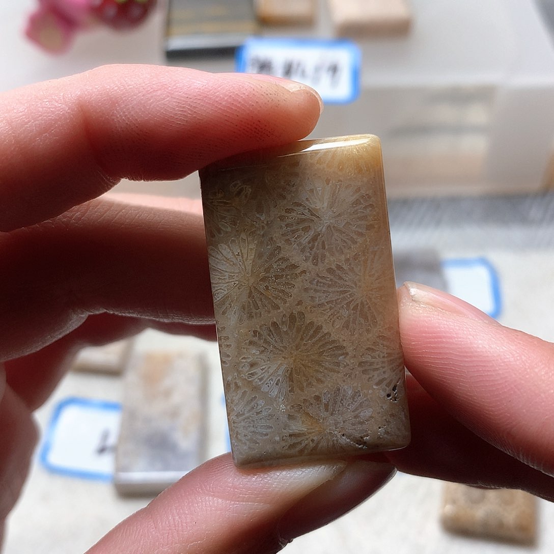 石英质玉颈饰未镶嵌苏*汪