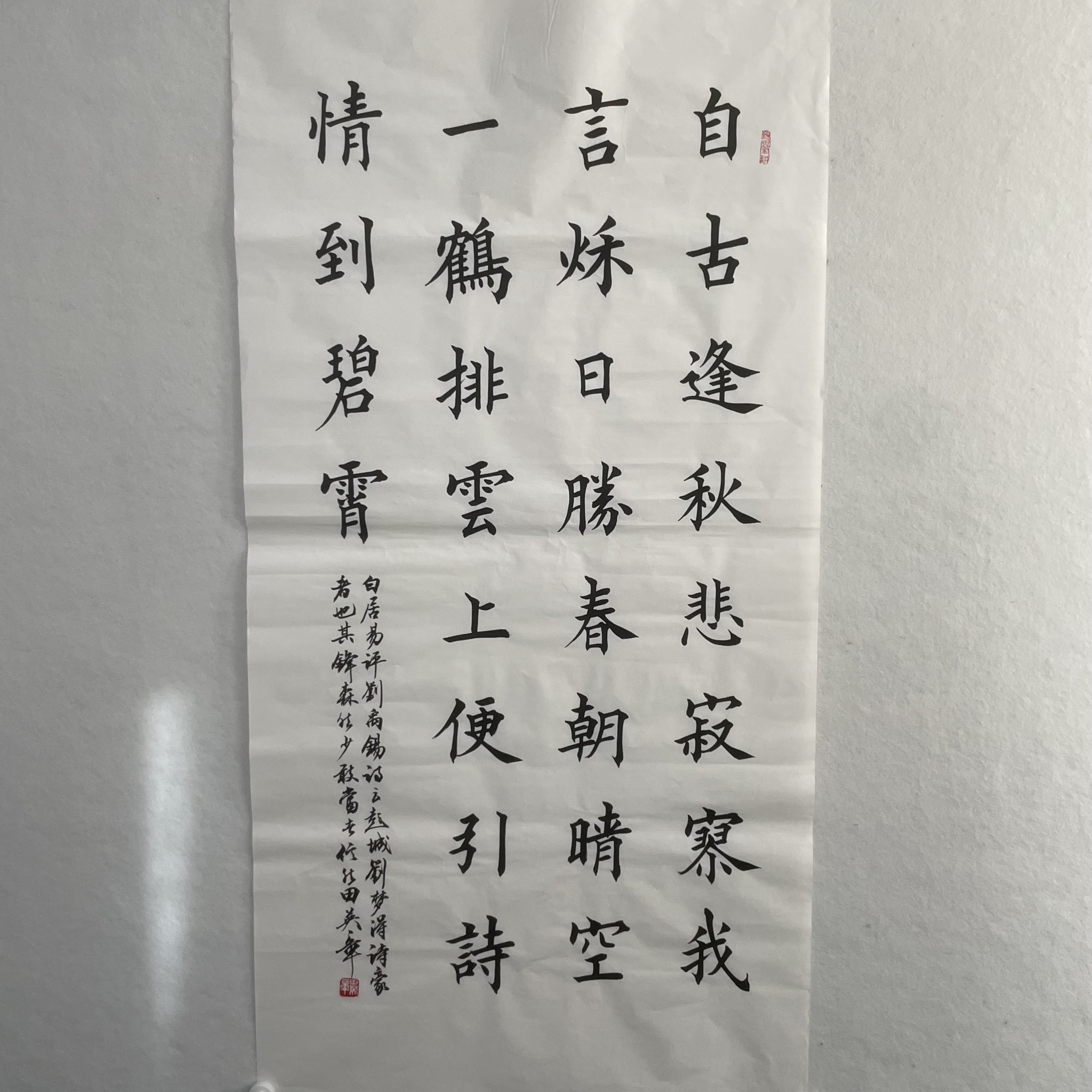 5224  书法 纸本水墨 136×68cm