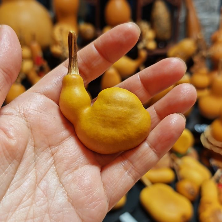 红***直播间链接葫芦葫芦