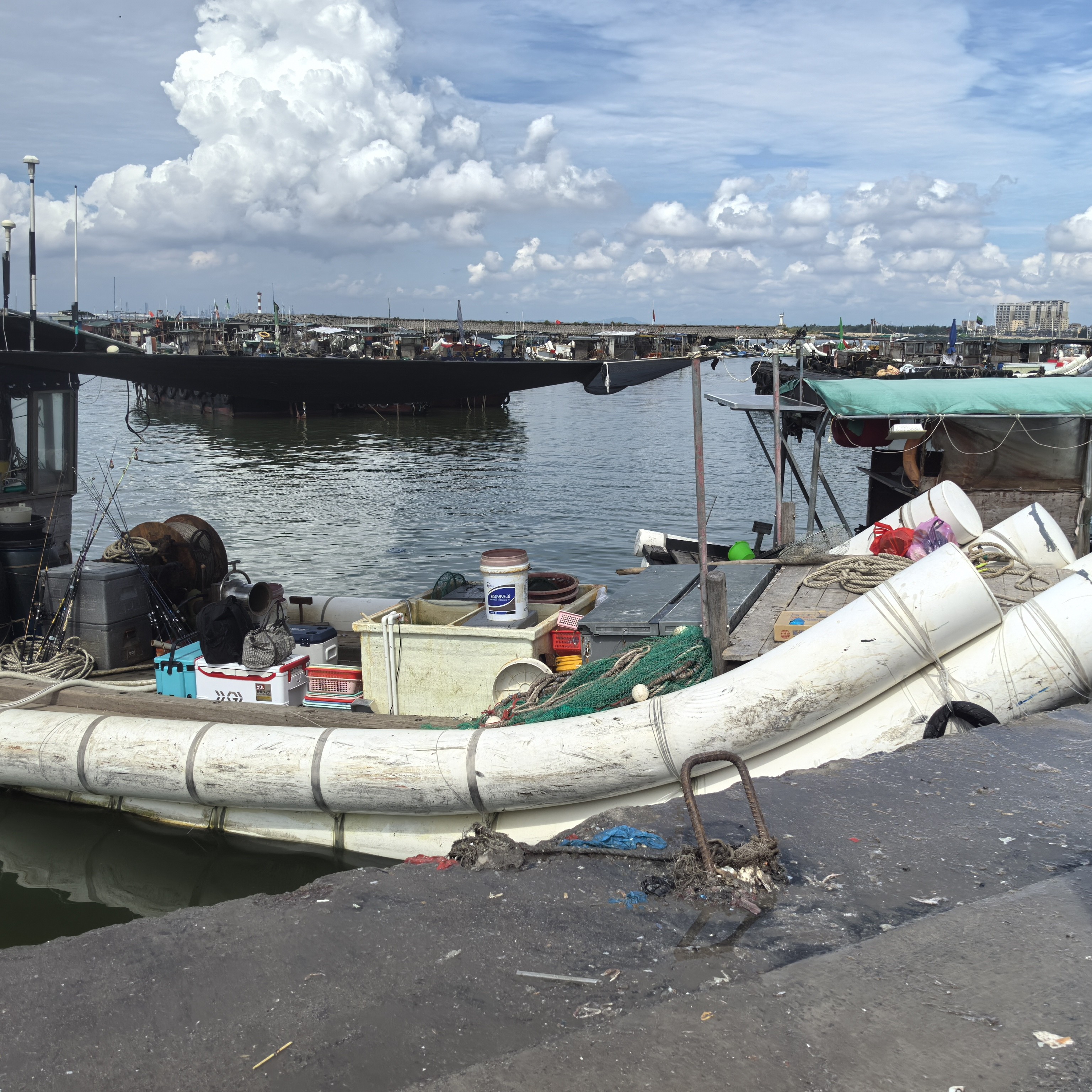（补差价）  3斤改价链接惠来神泉港鱼套餐顺丰冷链发货，直播间为准