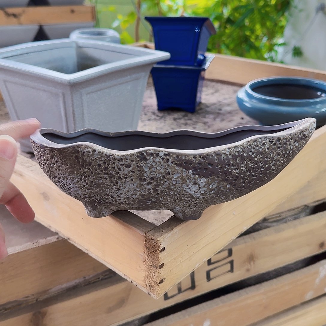 陶瓷花盆特价上新