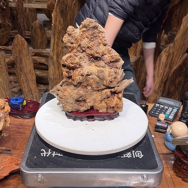 松木（琥珀木）社**滑