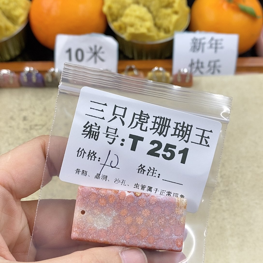 硅化珊瑚（珊瑚玉）1未镶嵌阿*