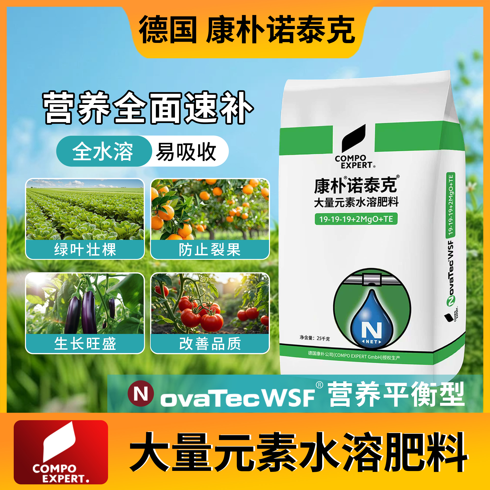【德国进口】康朴19-19-19平衡型大量元素水溶肥果树蔬菜经作通用肥