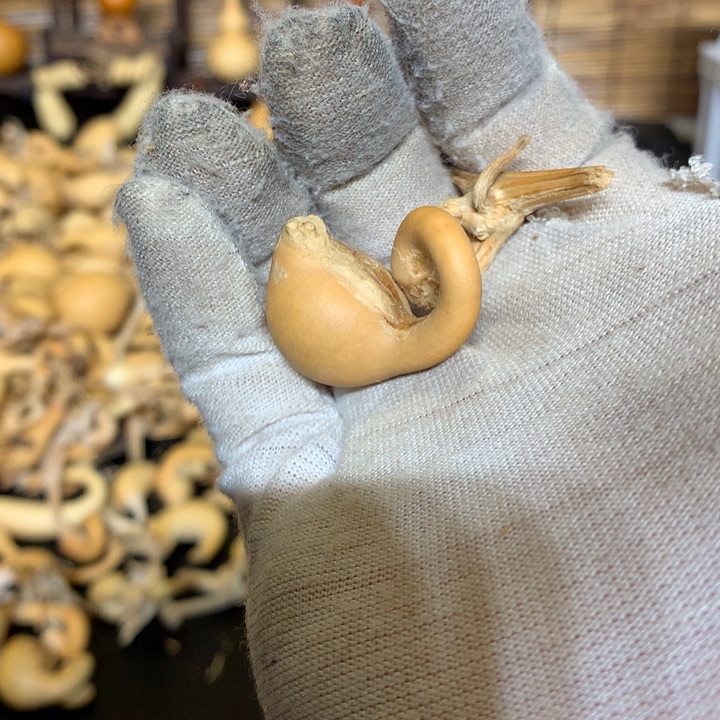 我想说我们也没见得好