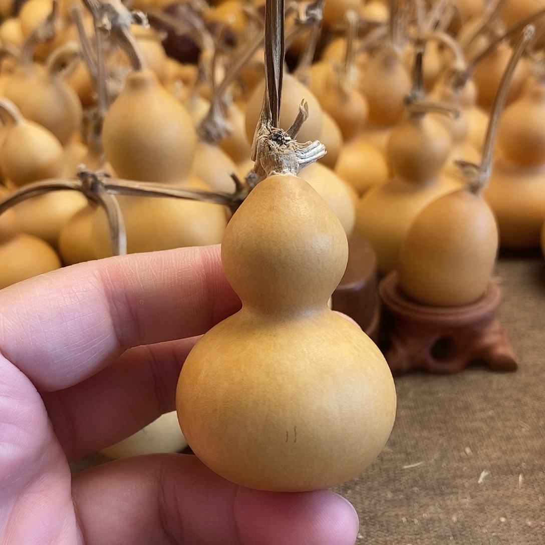 文玩葫芦 完美主义者 慎拍11