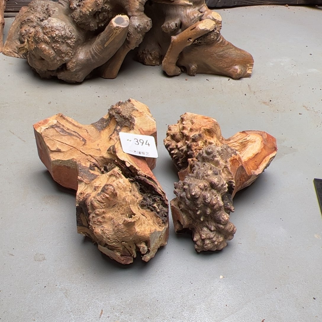 牵****无花朵          394