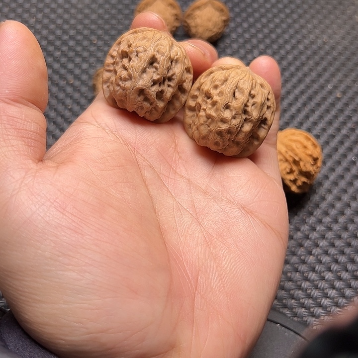 文玩核桃把件野狼