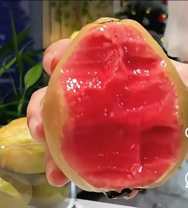 福建芭乐自家果园新鲜采摘