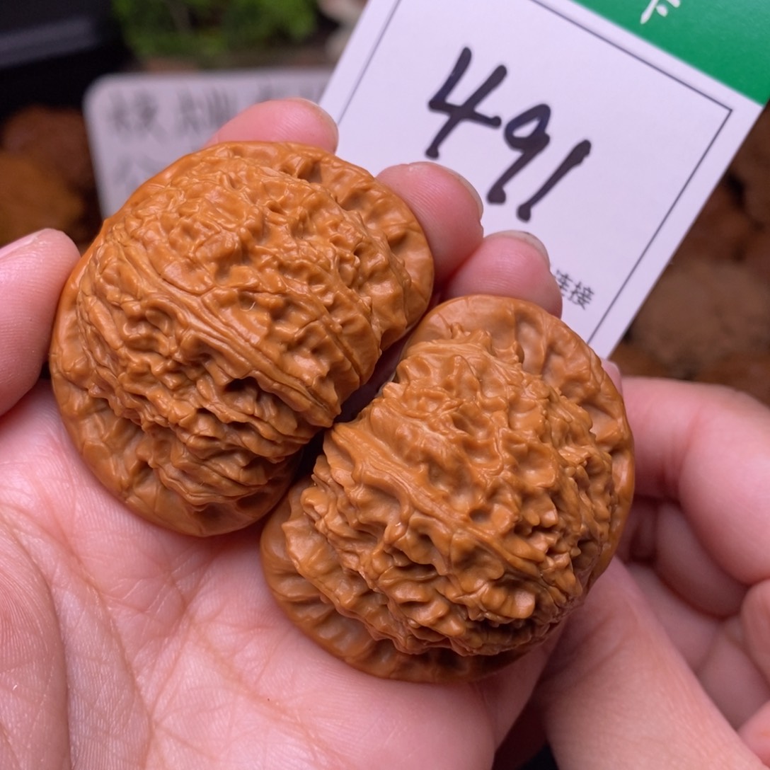 把件文玩核桃491白狮子4.6