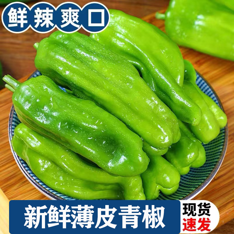 【新鲜现摘  5斤净重】微辣薄皮青椒芜湖椒农家自种辣椒今天买明天到